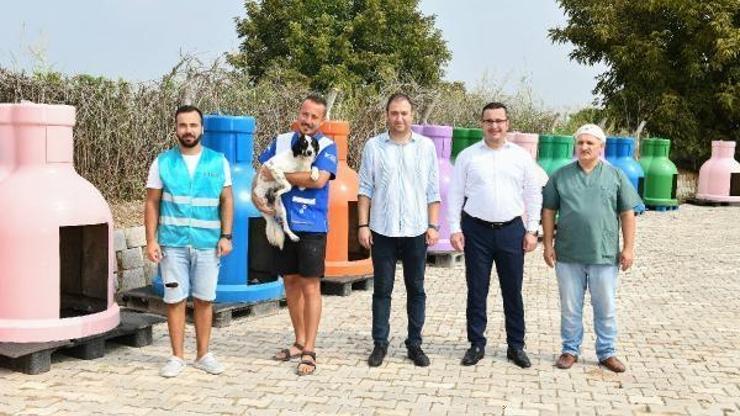 Mustafakemalpaşa Belediyesi Hayvan Barınağına Engelli Hayvan Birimi açıldı