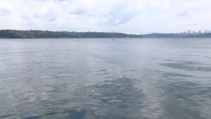 Balıkçılık av sezonu öncesi Marmara için uyarı