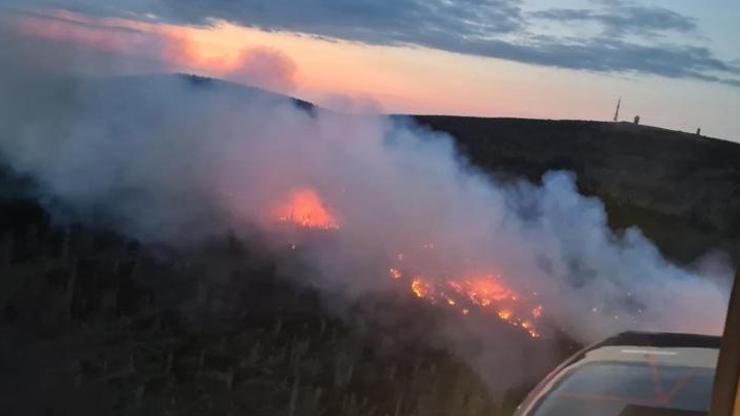 Almanya’daki Harz Dağlarında orman yangını