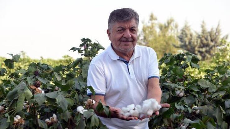 ‘Pamuk kilo fiyatı 22 TL’den az olmamalı’