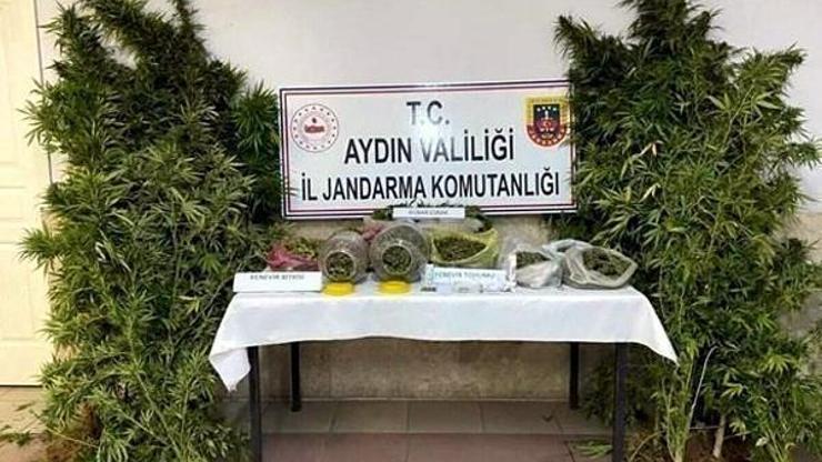Nazillide uyuşturucu operasyonuna 1 tutuklama