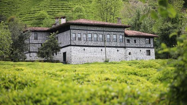 9 ayda, 106 ülkeye, 4870 ton çay ihracatı