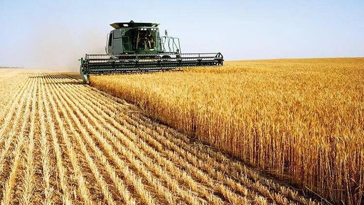 Bakan Kirişci duyurdu: Çiftçilere destek ödemesi öne alındı