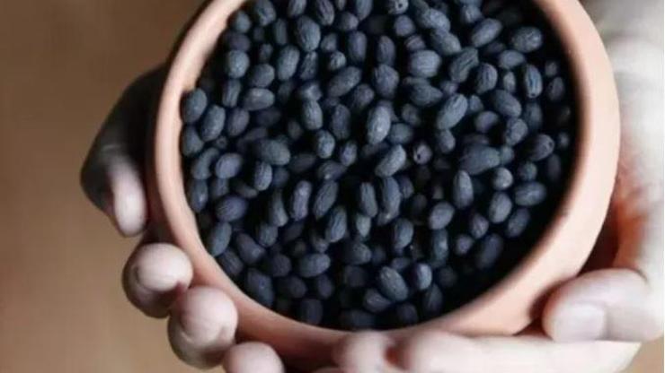 Zeytin çekirdeğinin şaşırtan faydaları saymakla bitmiyor
