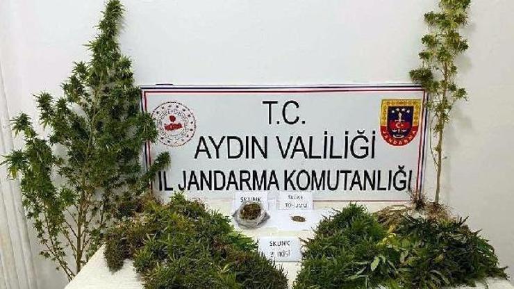 Evinde uyuşturucuyla yakalanan şüpheli gözaltına alındı
