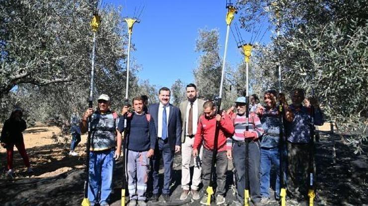 Balıkesir Büyükşehir Belediye Başkanı Yılmaz, zeytin hasadına katıldı