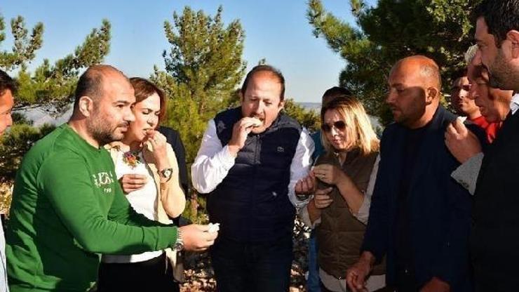 En lezzetli peynir obruktan çıktı