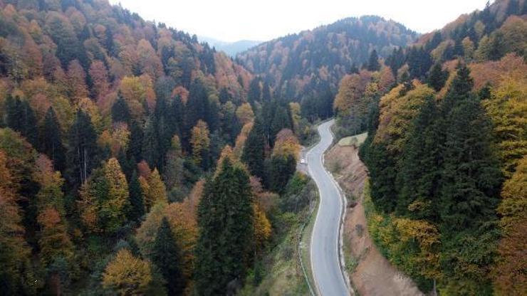 Karadeniz yaylalarında sonbahar renkleri