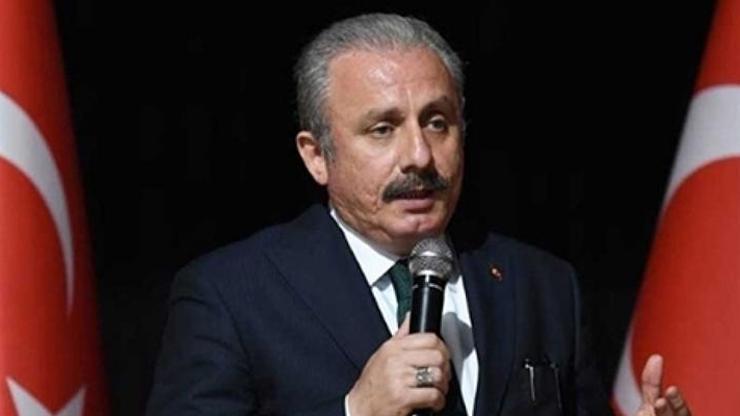 TBMM Başkanı Şentop, Kırım Tatar Milli Meclisi Başkanı Rıfat Çubarov ile görüştü