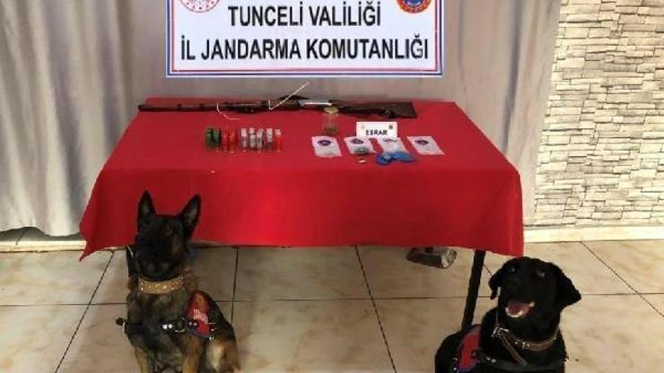 Tuncelide uyuşturucuya 2 gözaltı