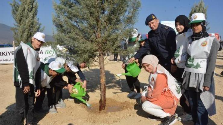 Manisada 53 bin 800 fidan toprakla buluştu