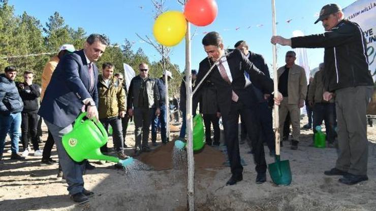 Ispartada 14 bin 500 fidan dikildi