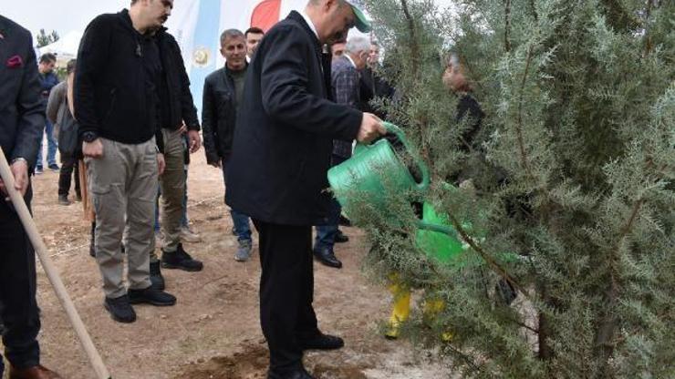 Batman’da 20 bin fidan toprakla buluştu