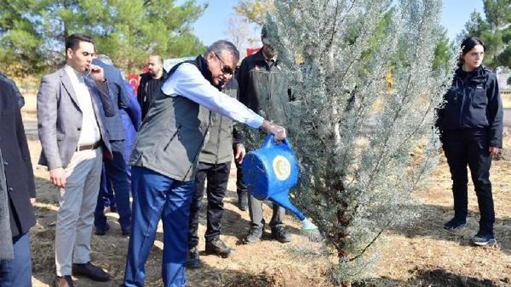 Diyarbakır’da 210 bin fidan toprakla buluştu