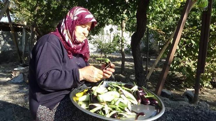 Iğdırda tescilli patlıcan reçeli kadınların gelir kapısı oldu