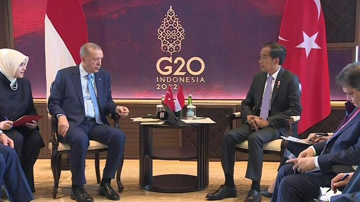 Cumhurbaşkanı Erdoğan, Endonezya Cumhurbaşkanı Widodo ile görüştü
