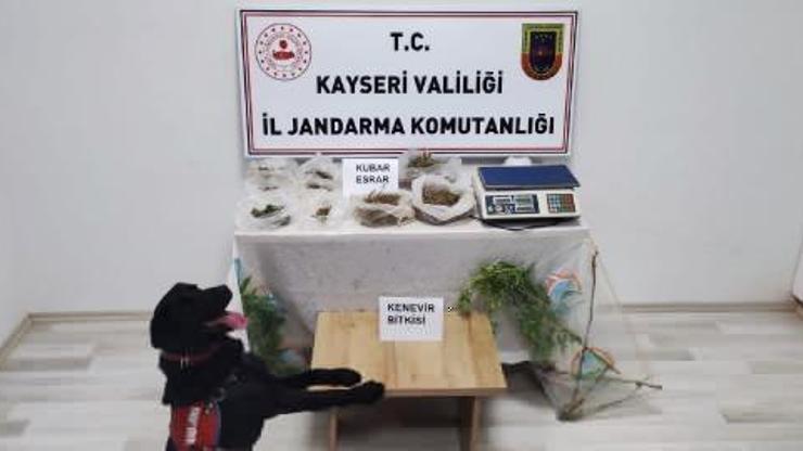 Kayseride uyuşturucu ticareti yapan 1 kişiye gözaltı