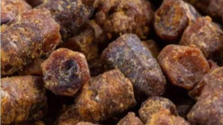Kansere karşı koruma sağlıyor