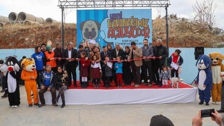 Uşakta sokak canlıları yeni yuvasına kavuştu