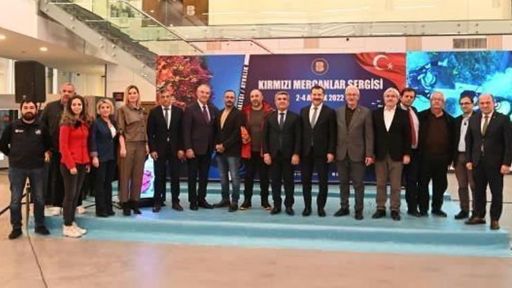 Balıkesir Büyükşehir Belediyesi, Ayvalıkın su altı dünyasını tanıtıyor