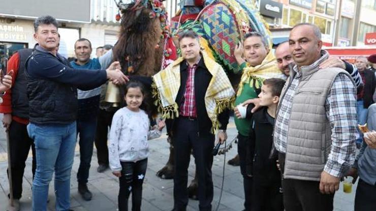 Bozdoğanlı Yakamoz En güzel deve seçildi, sahibine altın havan ödülünü kazandırdı