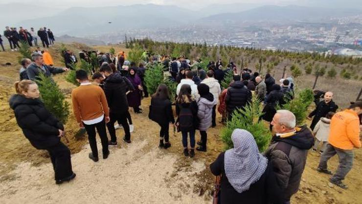 Maden şehitleri için fidan dikildi