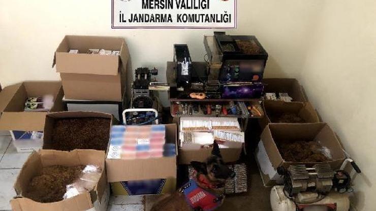 Mersinde 64 bin makaron ele geçirildi, 1 kişi gözaltına alındı