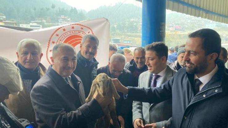 Hatay’da 42 aileye 882 hayvan hibe edildi