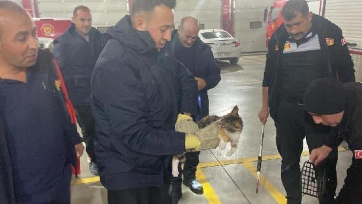 Otomobilin torpidosunda sıkışan kediyi itfaiyeciler kurtardı