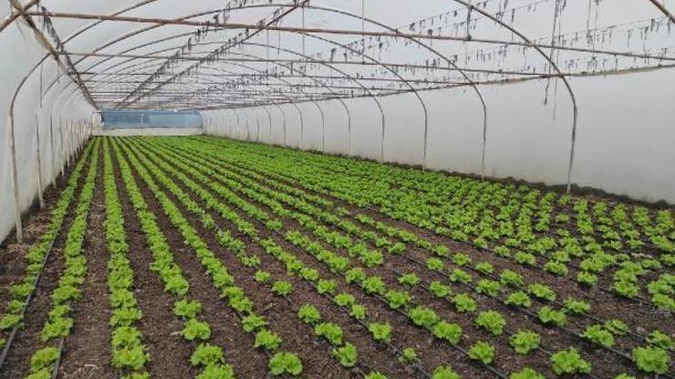 Orhangazili çiftçilere iyi tarım uygulamaları eğitimi verildi