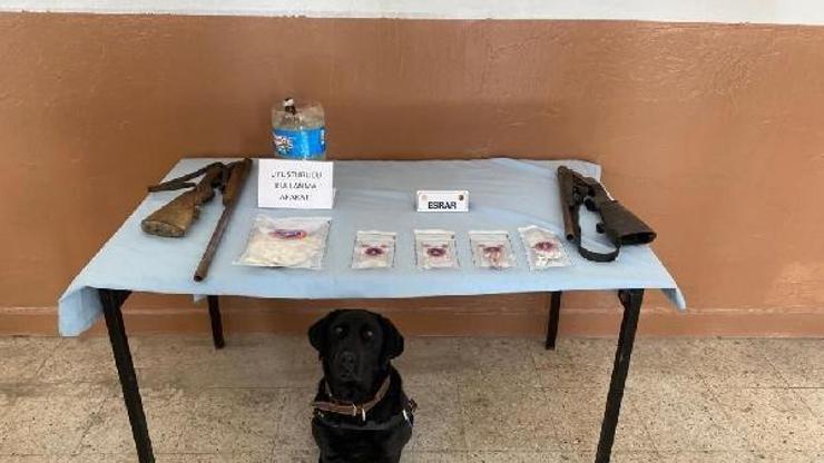 Tunceli’de uyuşturucu operasyonu: 11 gözaltı