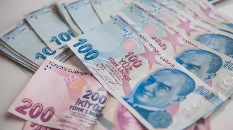 Aile Destek Programı ödemeleri bugün hesaplara yatıyor