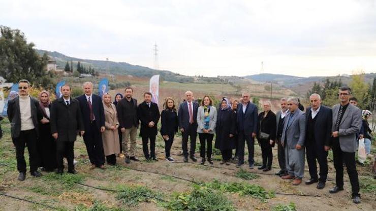 Birçok hastalığa iyi gelen şifalı bitkinin kilosu 60 liradan alıcı buluyor