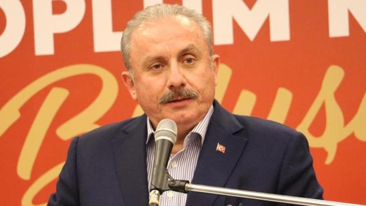 TBMM Başkanı Şentoptan Prens Harry’ye sert tepki: “Avrupalı beyaz çocuk, sen kimsin”