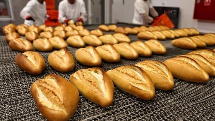 Büyükşehir Halk Ekmek Fabrikası 6 ayda 6 milyon ekmek üretti