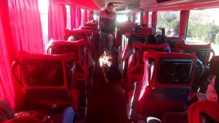 Birecik’te durdurulan yolcu otobüsünde uyuşturucu ele geçti