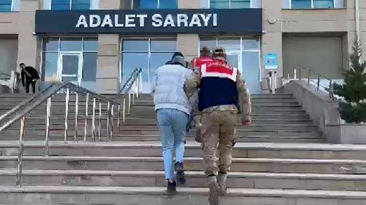 Arı Operasyonu düzenleyen jandarma 110 olayı aydınlattı: 8 tutuklama