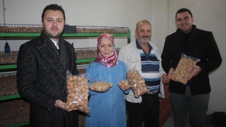 Kadın girişimci, KOSGEB desteğiyle ceviz işleme tesisi kurdu