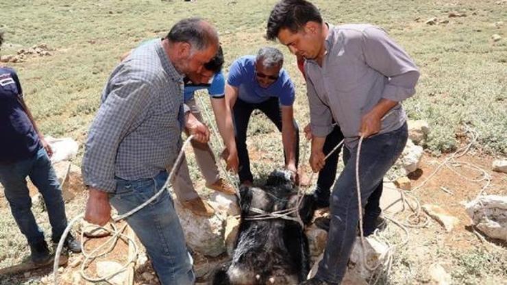 Somut Olmayan Kültürel Miras Envanterine 4 unsur daha
