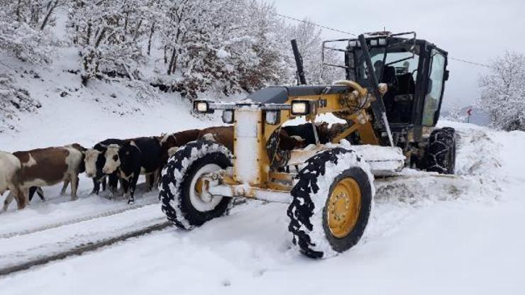 Amasya’da 75 köy yolu, kardan kapalı