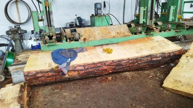 Makinede kestiği tomruğun üstüne düşmesiyle hayatını kaybetti
