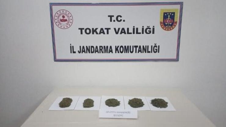 Tokatta uyuşturucu operasyonunda 3 kişi tutuklandı