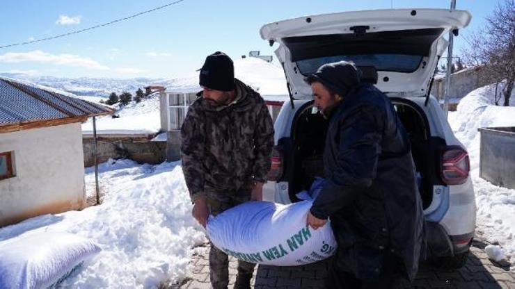 Nurhak’taki depremzede besicilere 250 ton yem desteği