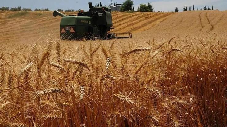 Aralık ayı tarımsal girdi enflasyonu belli oldu