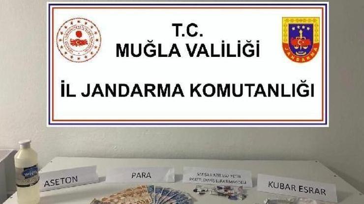 Bodrumda uyuşturucu operasyonu; 5 gözaltı