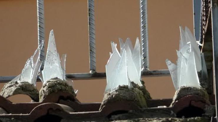 Kilise duvarında kedilere ‘cam kırıklı engel’
