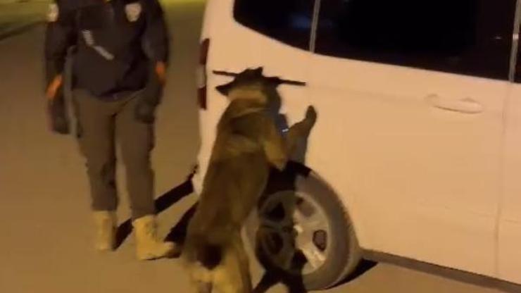 Kiralık araçta 525 gram esrarla yakalanan 2 şüpheli gözaltına alındı