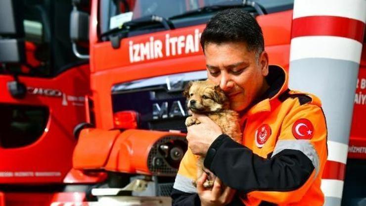İzmirli itfaiyeci deprem bölgesinden gelen köpeği sahiplendi