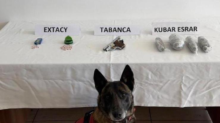 Bodruma uyuşturucuya 3 gözaltı