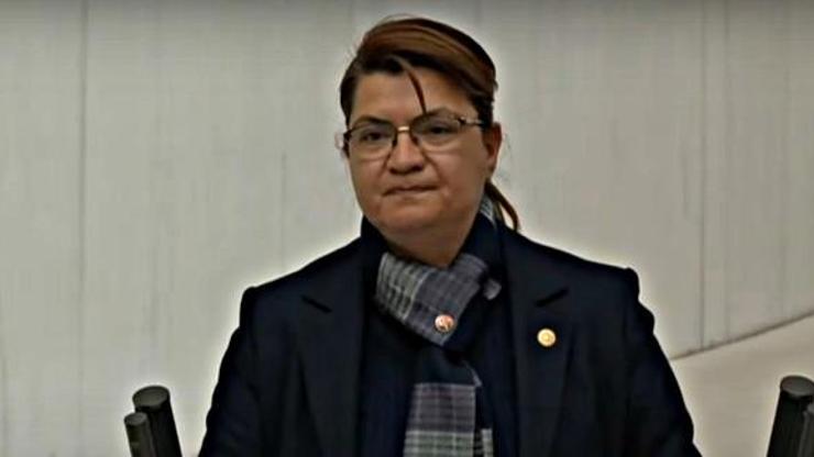 CHP Hatay Milletvekili Suzan Şahin kimdir, hangi görevlerde yer aldı